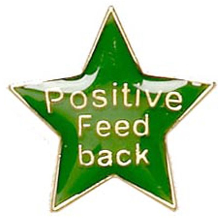 FLAT POSITIVE FEEDBACK STAR BADGE - 4 COLOURS - 20MM
